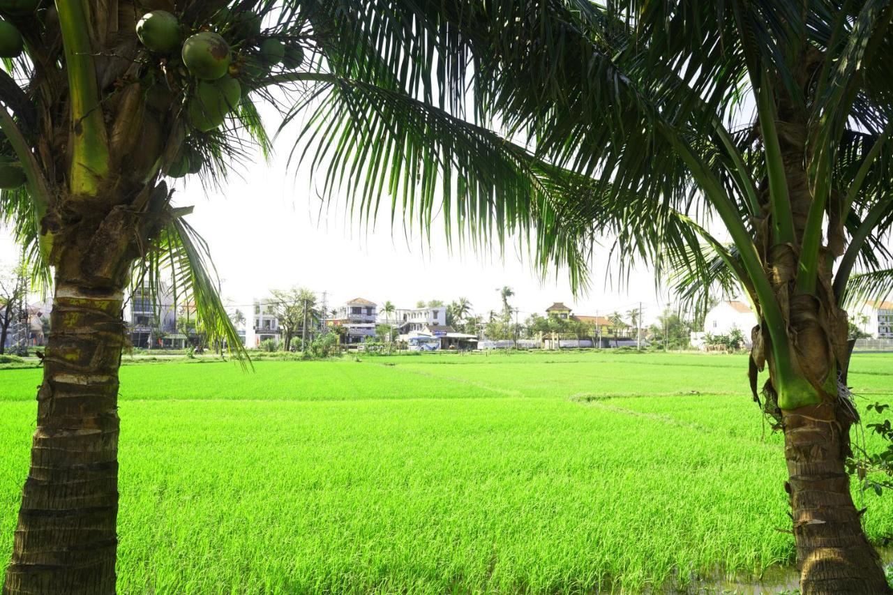 Hoang Y Homestay Хой Ан Екстериор снимка